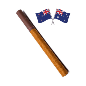 CGW Little Brown