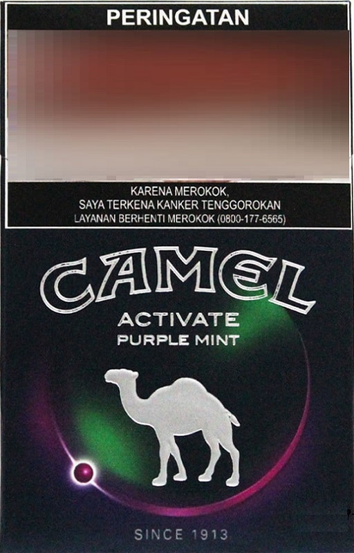 Camel Purple Mint