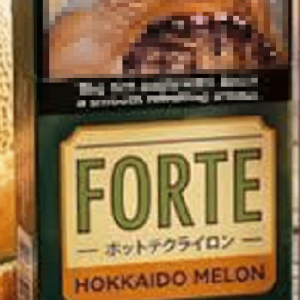 Djarum Forte Hokkaido Melon