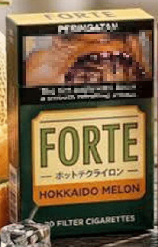 Djarum Forte Hokkaido Melon