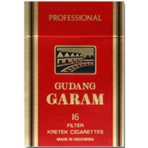 Gudang Garam Professional