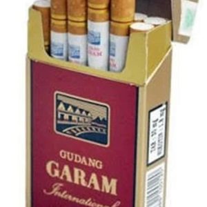 Gudang Garam International