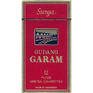 Gudang Garam Surya 12